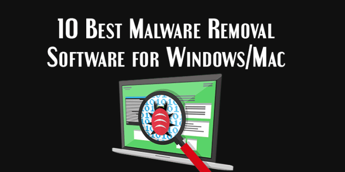 Advanced malware removal software