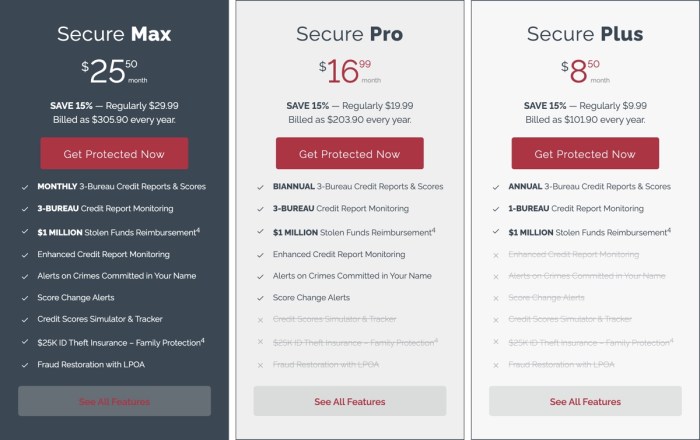 Identity theft protection and antivirus bundle